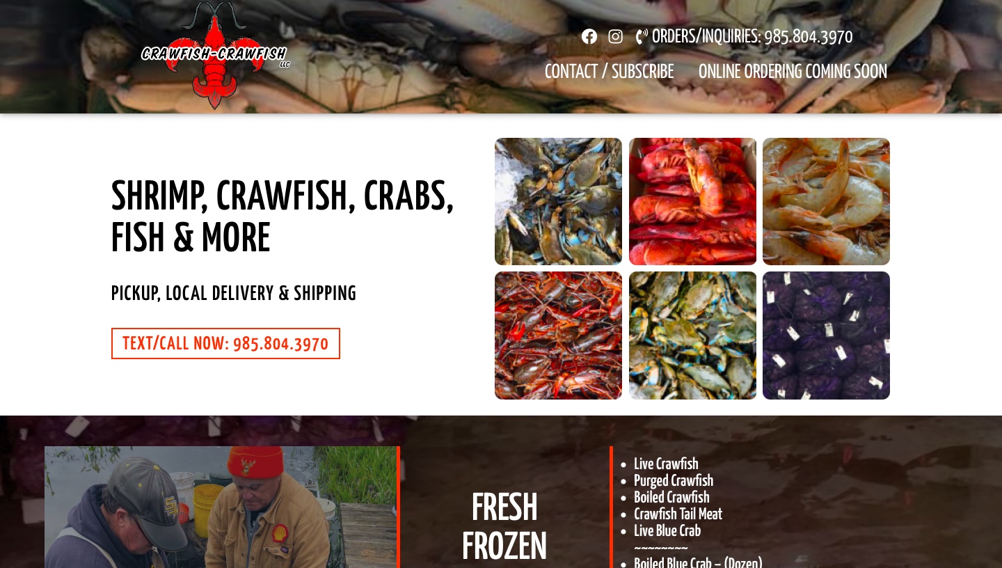 NOLA Media and Design New Orleans Website Design and Graphic Design and Marketing