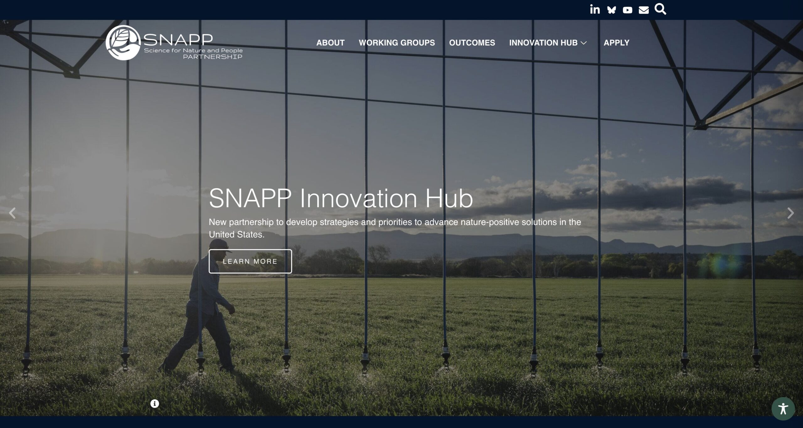 Affordable Web Design in New Orleans