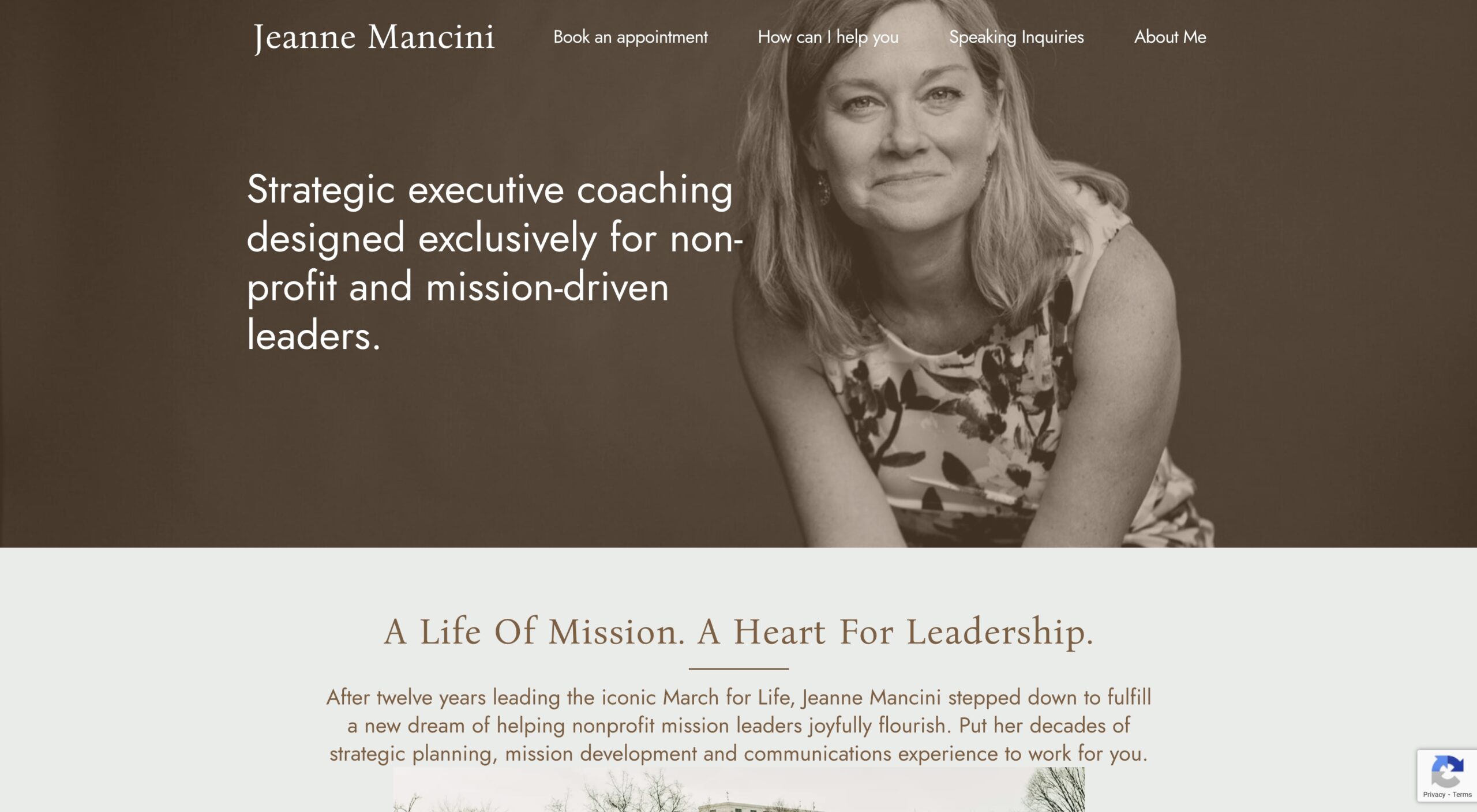 affordable website design - new orleans louisiana